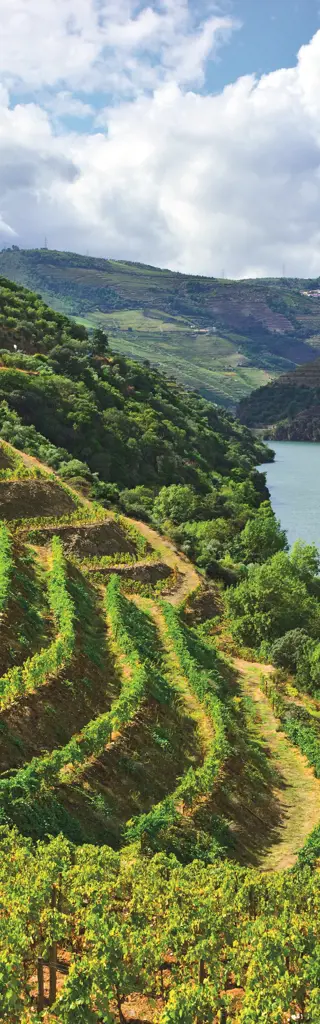 Zugreise durch Portugal - Städte, Paläste und Wein